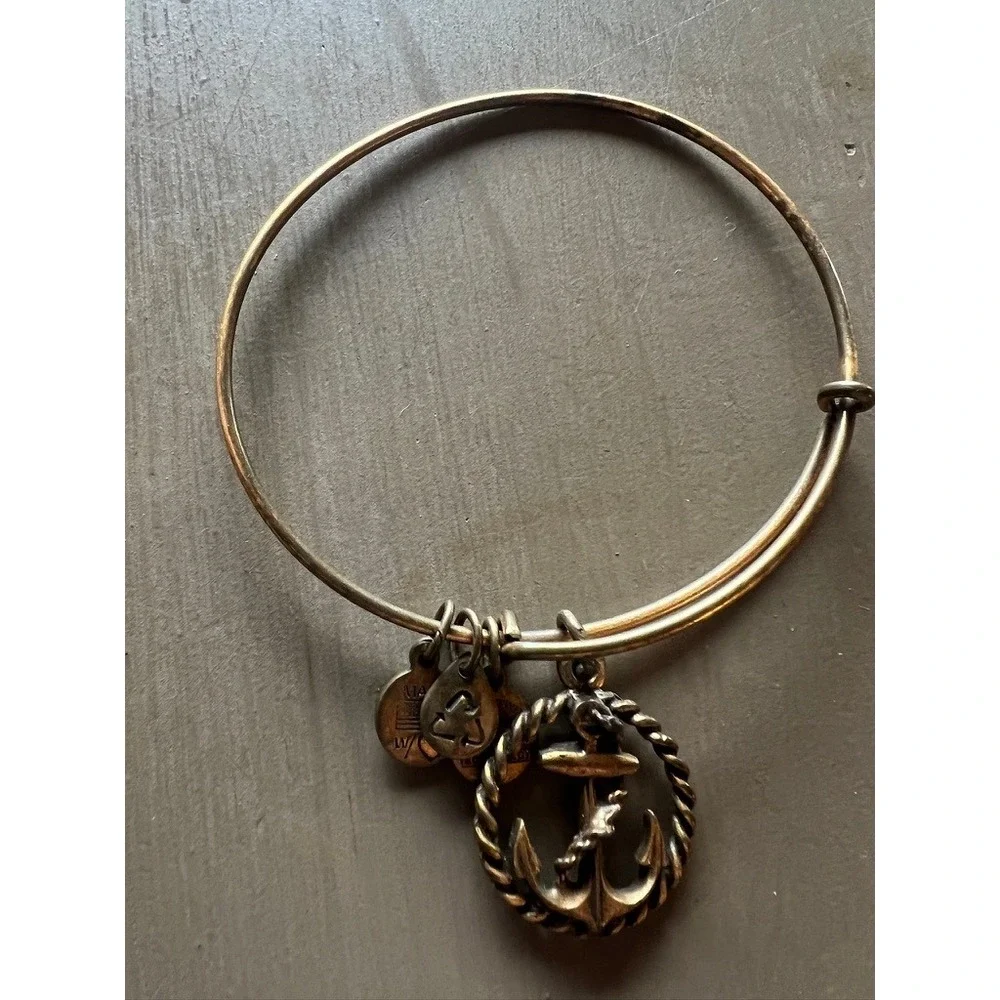 Alex and Ani Bangle Bracelet Lot 11pc Silver Gold Rose Gold Charms